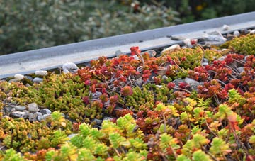 the cost of Isleornsay green roof installation