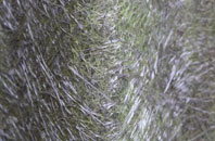 Isleornsay fibreglass roof work